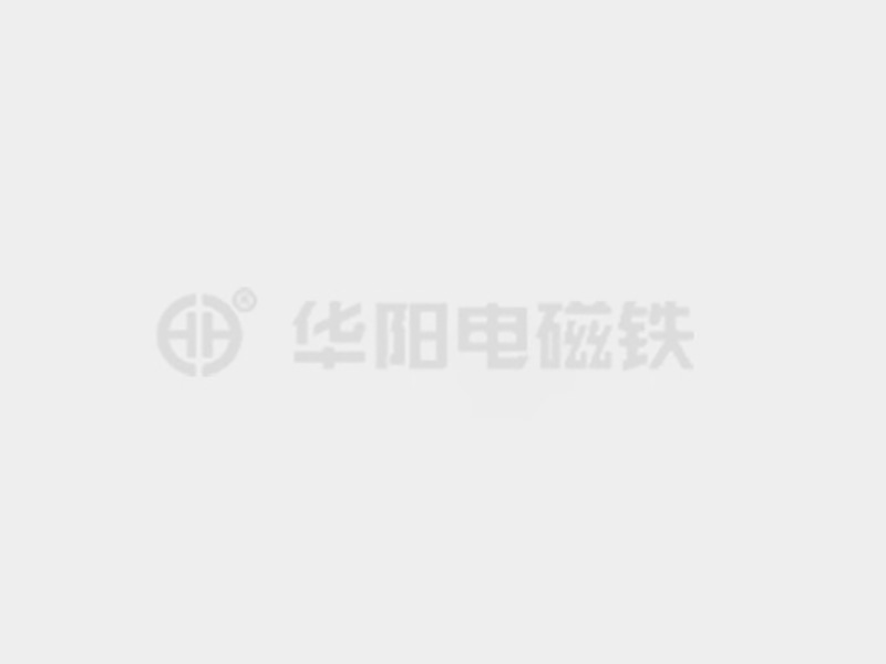 美女被大鸡疯狂肏的黄色视频网站防爆电磁铁的储存和维护较佳实践！